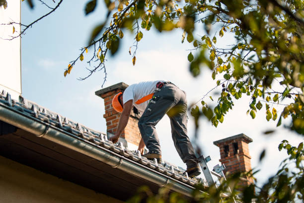 Best Sealant for Roof  in Champaign, IL