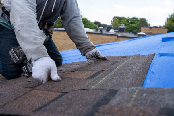 Best Roof Maintenance Services  in Champaign, IL