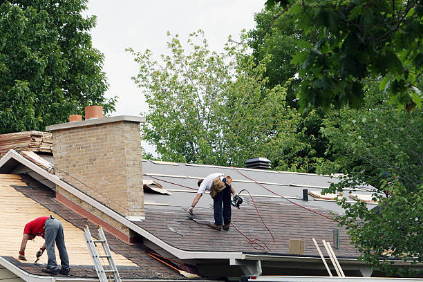 Best New Roof Installation  in Champaign, IL