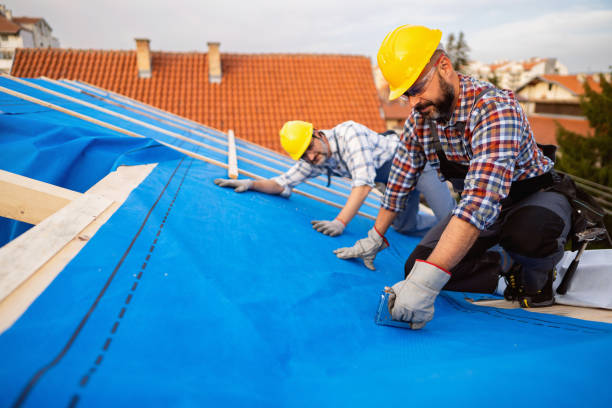 Best Roof Waterproofing Services  in Champaign, IL